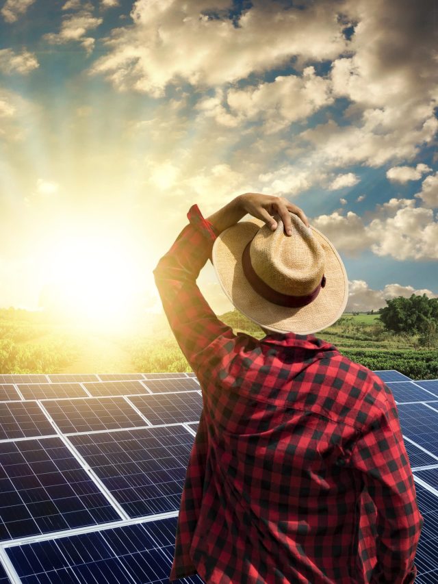 Conheça o Plano Safra para Energia Solar